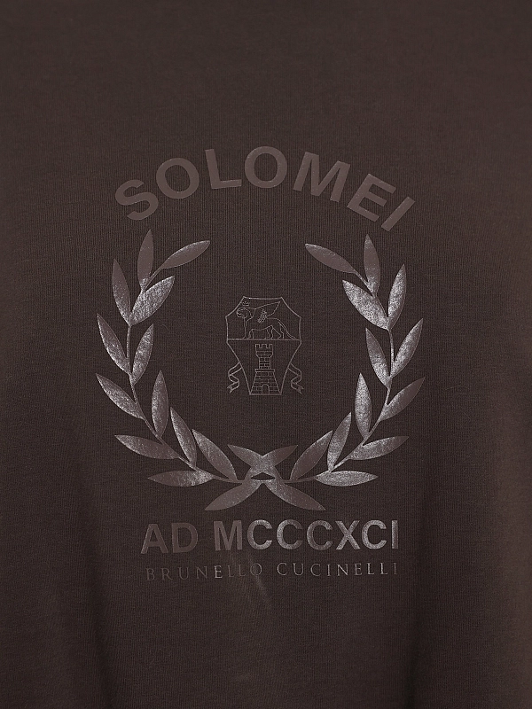 толстовка Brunello Cucinelli MH827HZ500 цвет коричневый