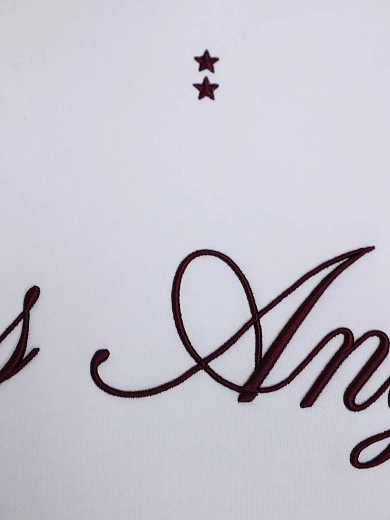 худи Icon Denim EBBIEJ821